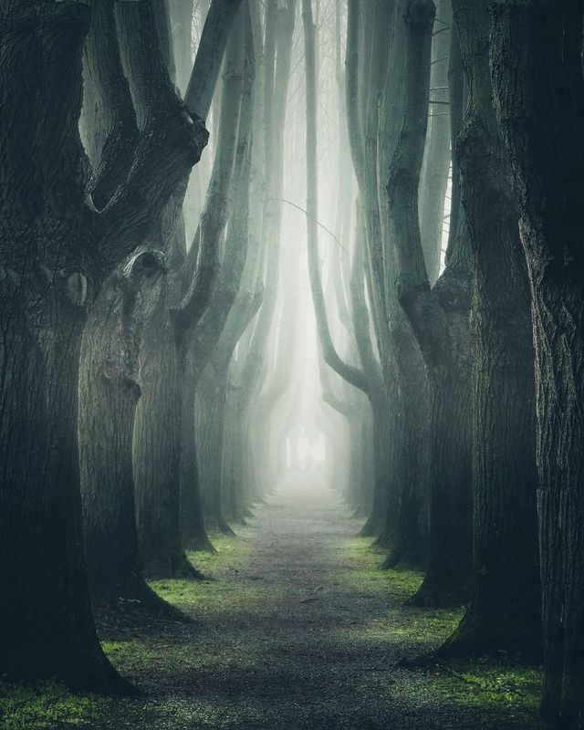 Захопливі подорожі Італією, які вражають: фото - фото 299635