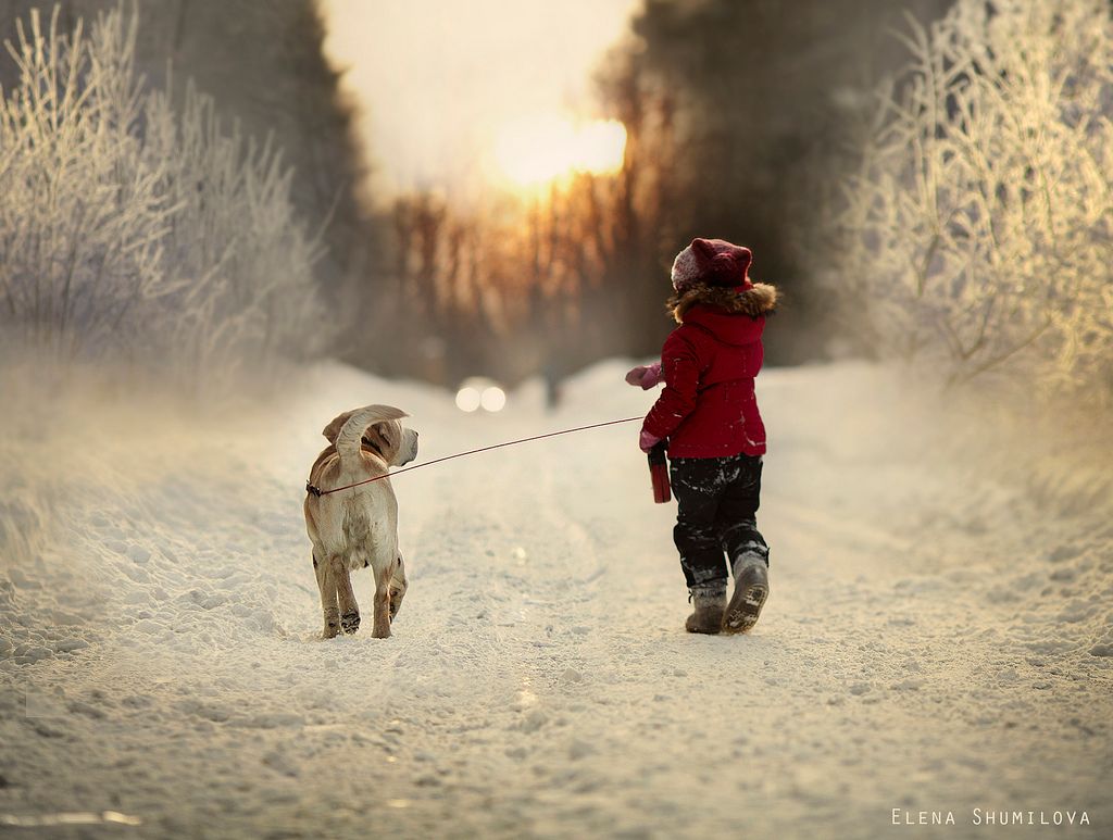 Прогулянки допомагають запобігти застуді - фото 1