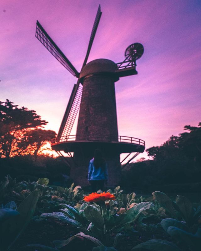 Вуличні фото Джейсона Дабса, які змушують затримати погляд - фото 299908