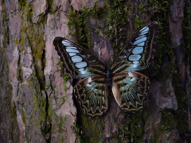 З'явилися перші фото, зроблені на камеру смартфона Honor View 20 - фото 299952