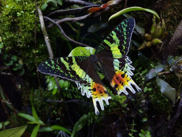 З'явилися перші фото, зроблені на камеру смартфона Honor View 20 - фото 299953