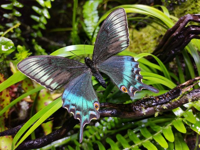 З'явилися перші фото, зроблені на камеру смартфона Honor View 20 - фото 299955