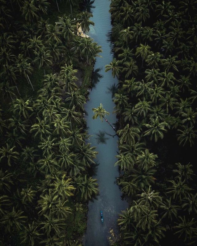 Вражаючі фото Азії з висоти пташиного польоту від Алі Олфата - фото 299974