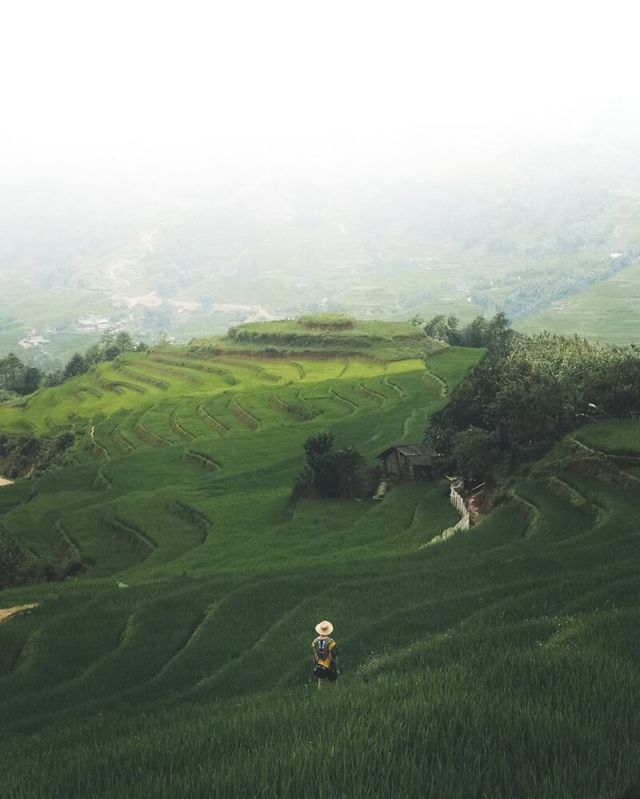 Вражаючі фото Азії з висоти пташиного польоту від Алі Олфата - фото 299982