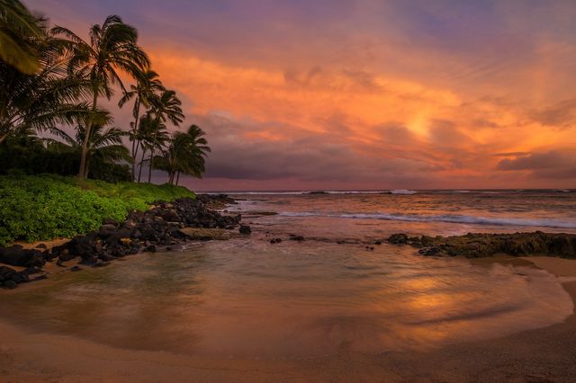 Захопливі пейзажі світу від Перрі Шелат: яскраві фото - фото 300275
