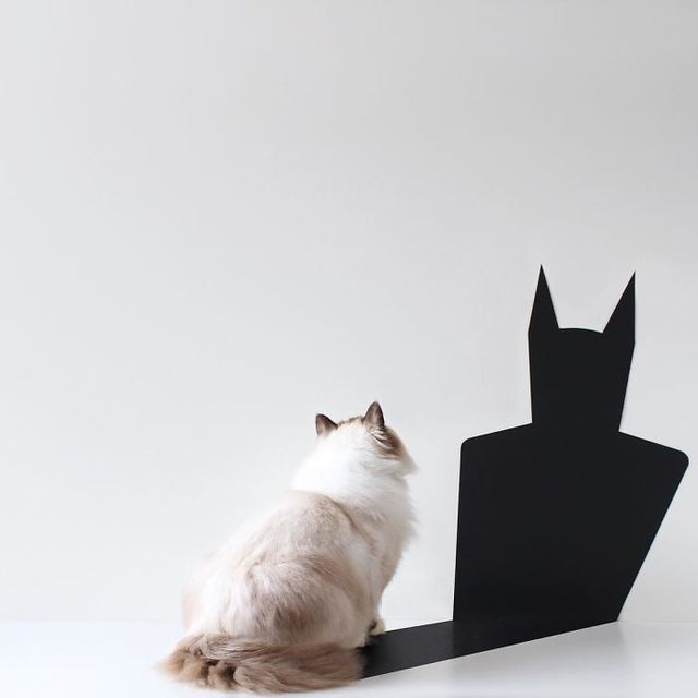 Мінімалістичні знімки тайського фотографа, які заворожують - фото 300375