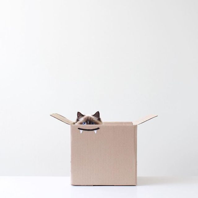 Мінімалістичні знімки тайського фотографа, які заворожують - фото 300379