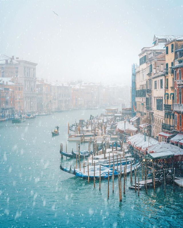 Вуличні фото Венеції, які надихають мандрувати: яскраві кадри - фото 300597