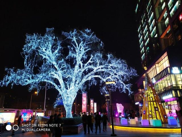 Кадри, зроблені в темряві - фото 300710