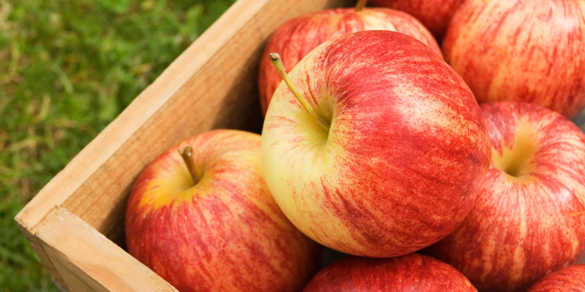 Ці продукти продовжують тривалість життя