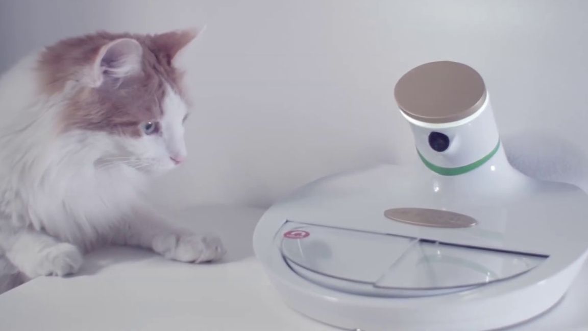 "Розумна" миска для тварин - фото 1