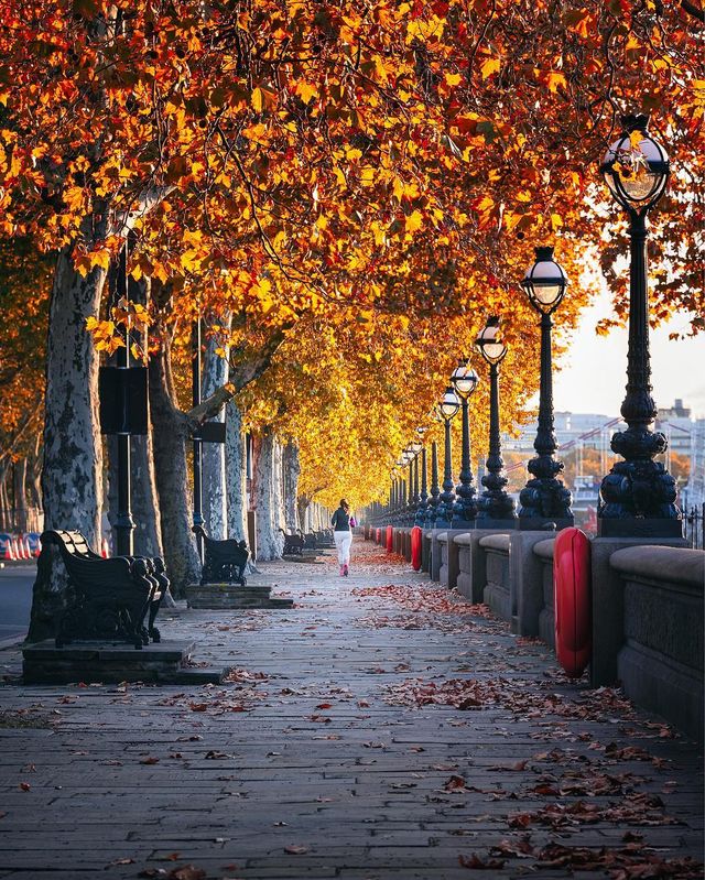 Міські пейзажі в об'єктиві Отто Берклі: яскраві фото - фото 301195