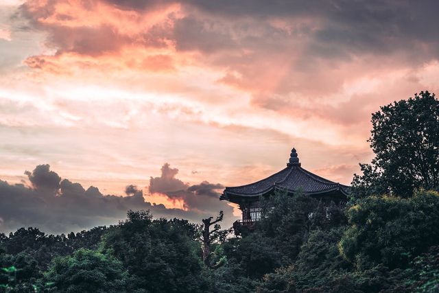 Життя у Сеулі у вуличних фото: захопливі кадри - фото 301246