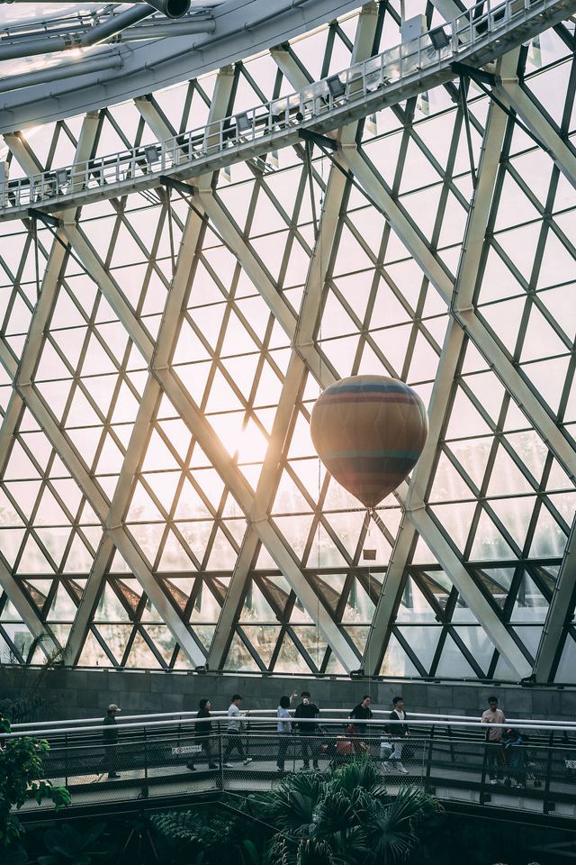 Життя у Сеулі у вуличних фото: захопливі кадри - фото 301254