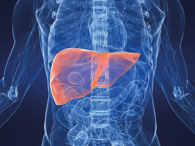 Ви перевантажуєте печінку - фото 301320