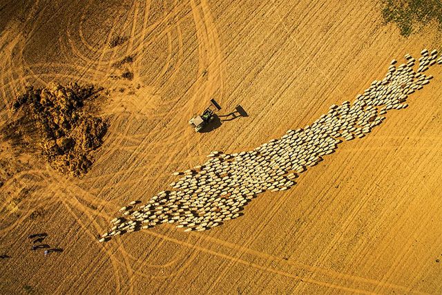 Захоплює дух: на конкурсі Dronestagram вибрали 50 накращих знімків року - фото 301353