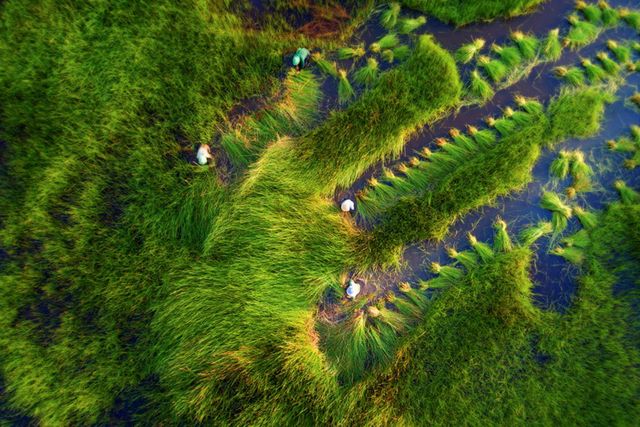 Захоплює дух: на конкурсі Dronestagram вибрали 50 накращих знімків року - фото 301355