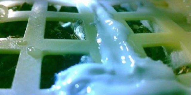 Проросло перше насіння на Місяці - фото 301423