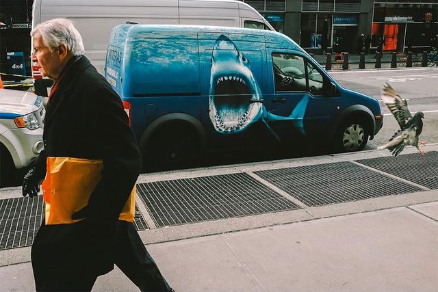 Раптові фото, зроблені в ідеальний момент, змусять вас усміхнутися - фото 301559