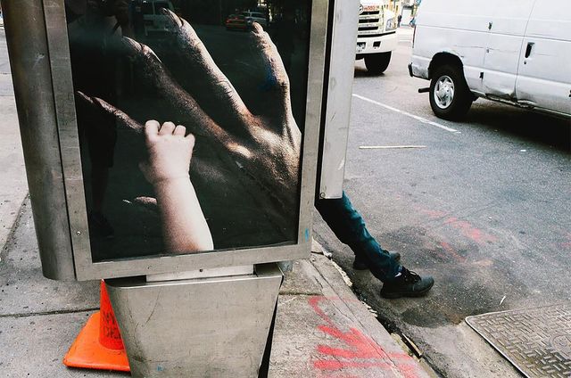 Раптові фото, зроблені в ідеальний момент, змусять вас усміхнутися - фото 301564