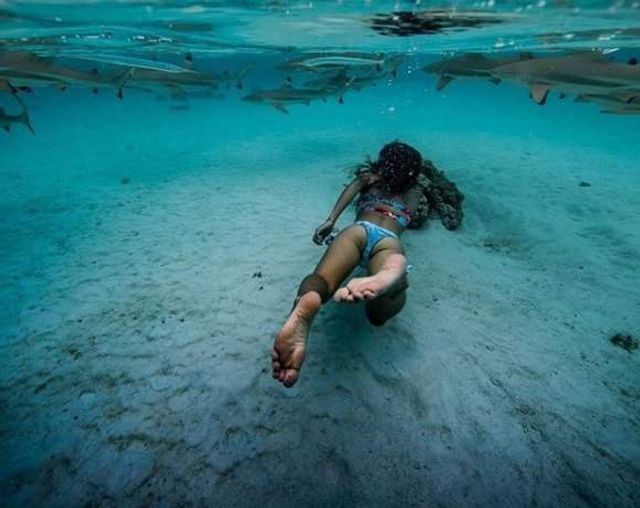 Дівчина-дайвер ділиться в Instagram унікальними знімками акул - фото 301783