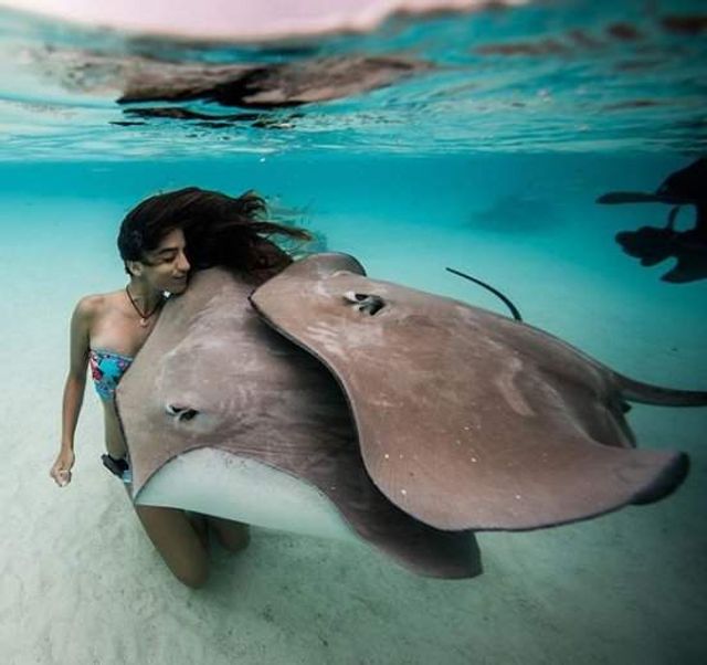 Дівчина-дайвер ділиться в Instagram унікальними знімками акул - фото 301787
