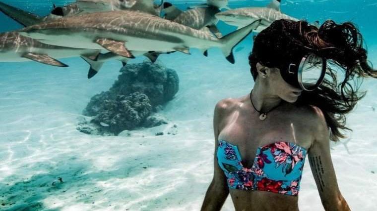 Дівчина-дайвер ділиться в Instagram унікальними знімками акул