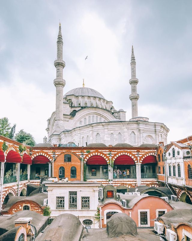 Яскраві подорожі світом від Мері Квінсі: ефектні фото - фото 302105