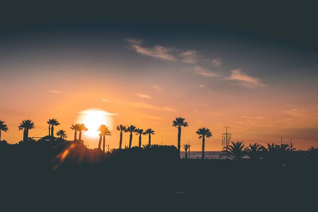 Життя у Кейптауні в об'єктиві талановитого фотографа - фото 302121