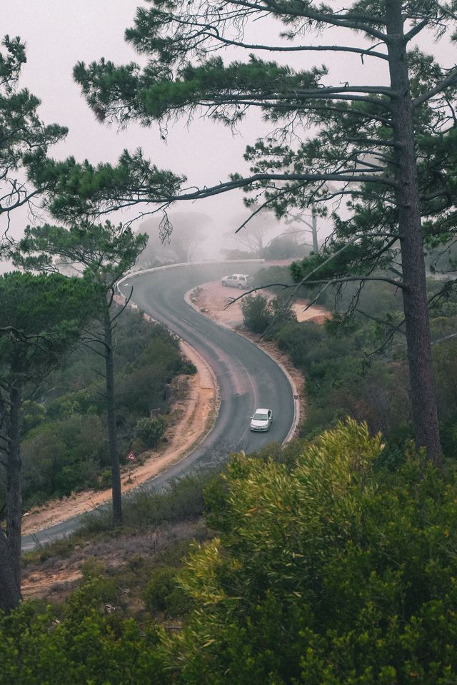 Життя у Кейптауні в об'єктиві талановитого фотографа - фото 302125