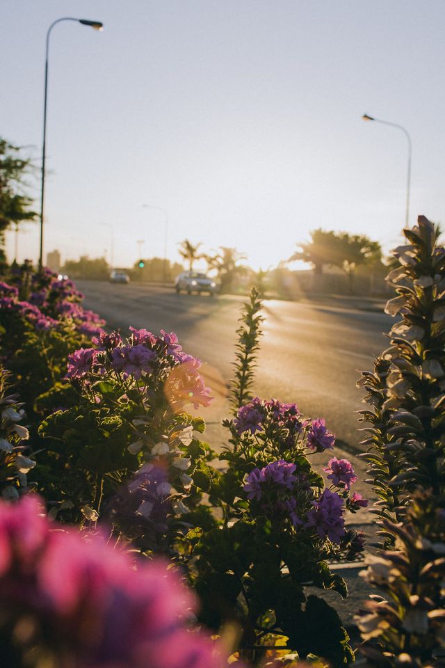 Життя у Кейптауні в об'єктиві талановитого фотографа - фото 302129