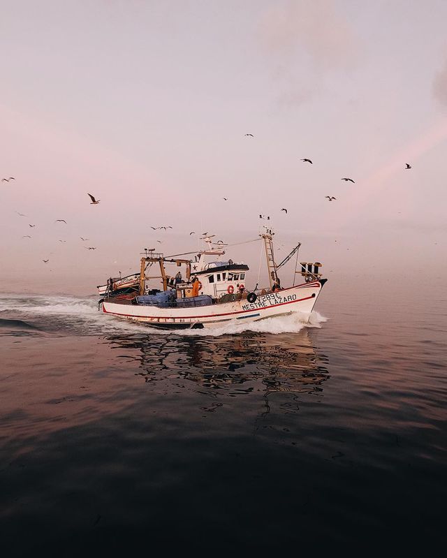 Життя на кораблі: будні моряків у захопливих фото - фото 302166