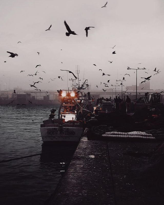 Життя на кораблі: будні моряків у захопливих фото - фото 302167