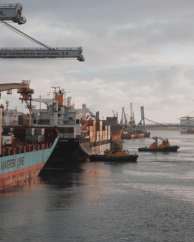 Життя на кораблі: будні моряків у захопливих фото - фото 302168