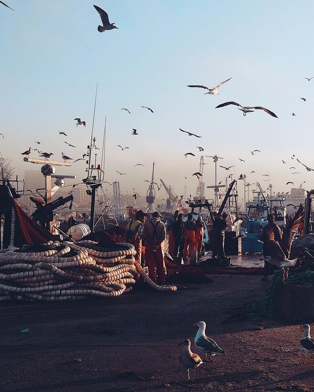 Життя на кораблі: будні моряків у захопливих фото - фото 302170