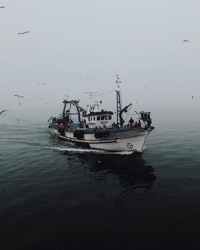 Життя на кораблі: будні моряків у захопливих фото - фото 302171