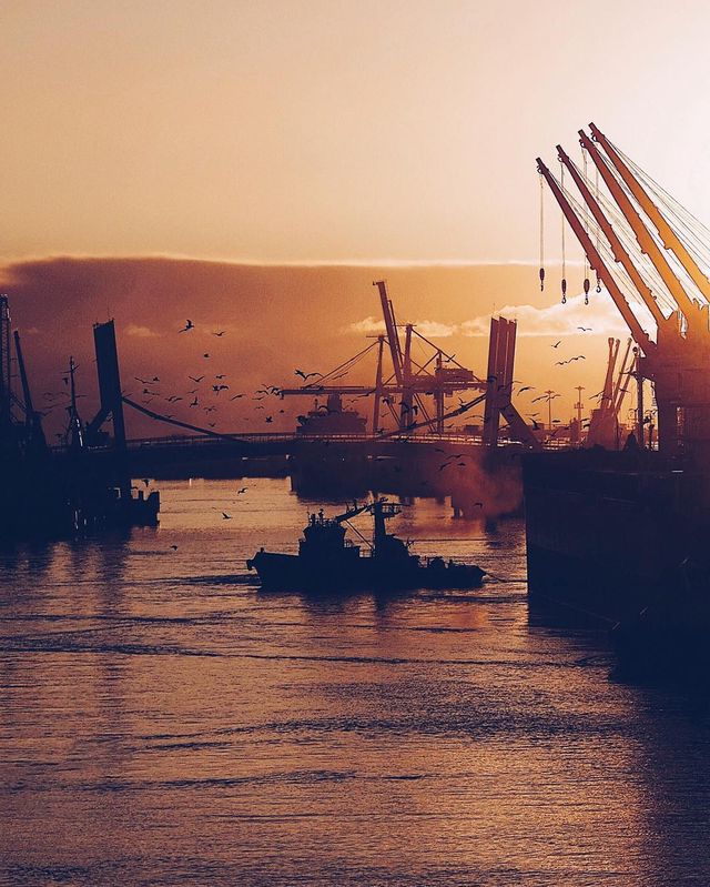 Життя на кораблі: будні моряків у захопливих фото - фото 302172