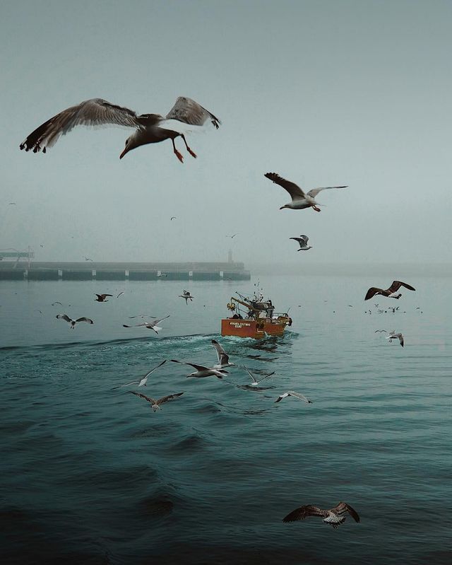 Життя на кораблі: будні моряків у захопливих фото - фото 302176