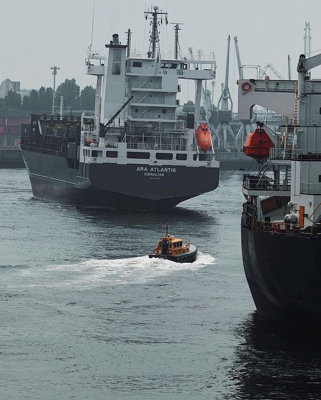 Життя на кораблі: будні моряків у захопливих фото - фото 302178