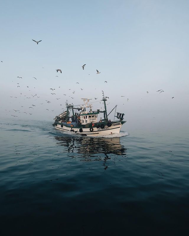 Життя на кораблі: будні моряків у захопливих фото - фото 302179