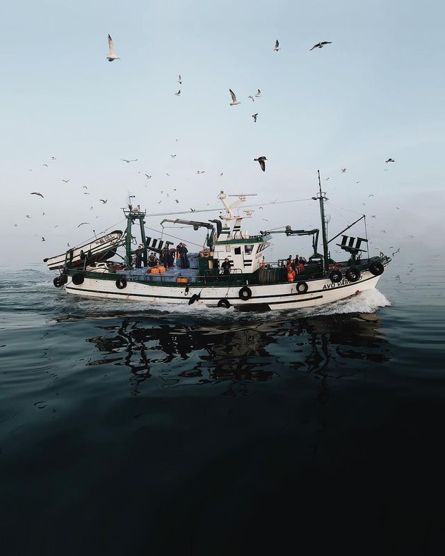 Життя на кораблі: будні моряків у захопливих фото - фото 302184