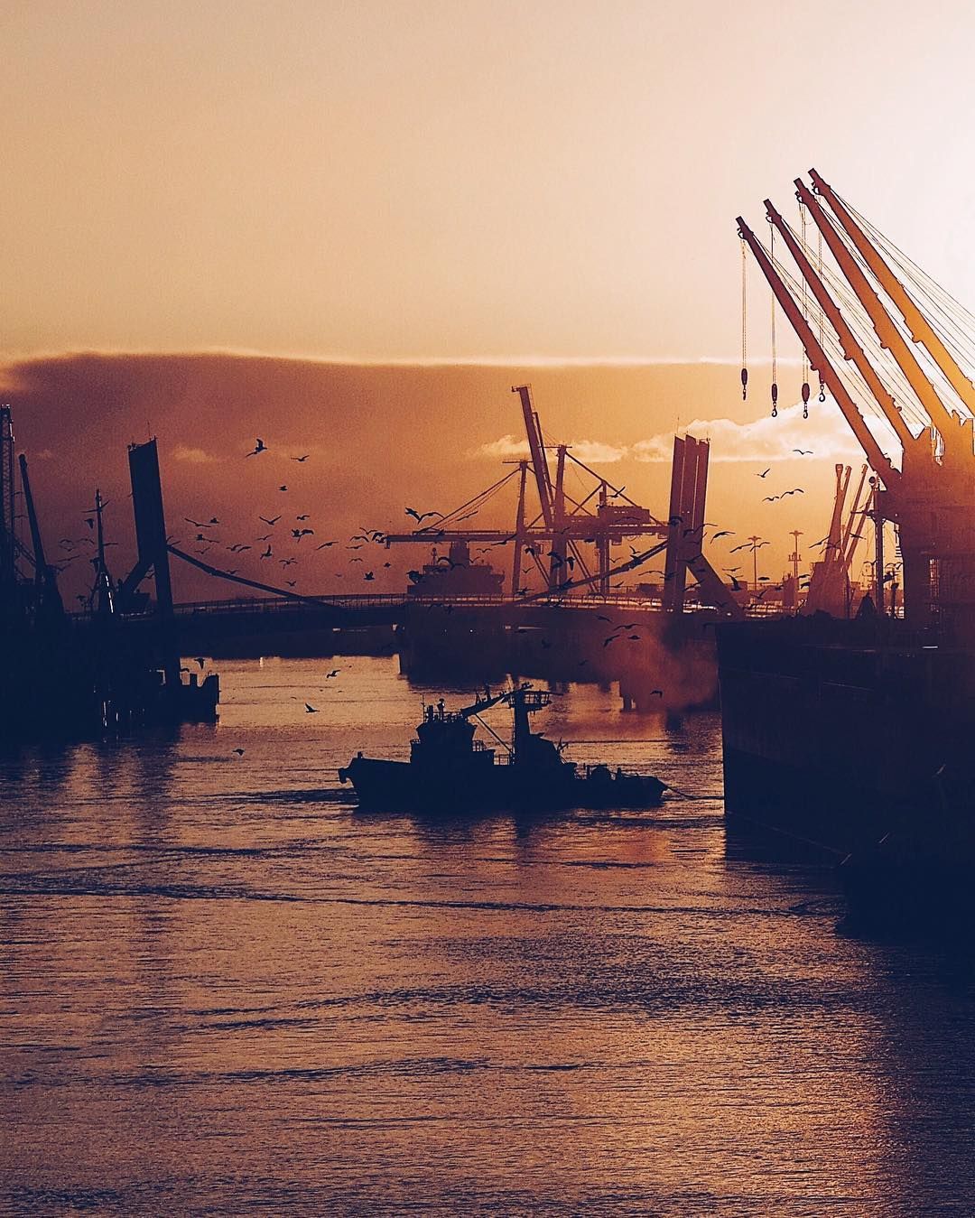 Кораблі та море в об'єктиві Бернардіно - фото 1