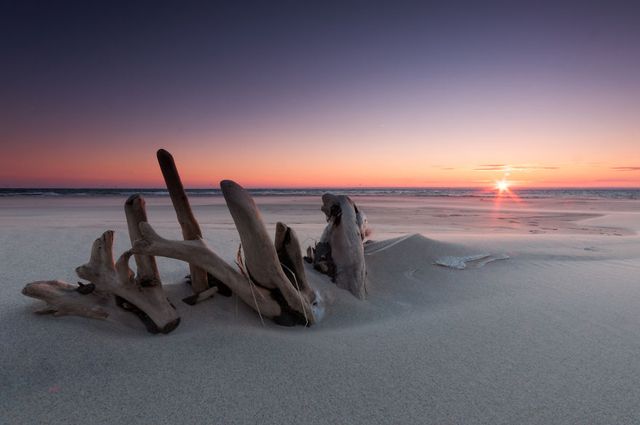 Фотограф показав таємничу красу Балтійського моря у Польщі - фото 302318