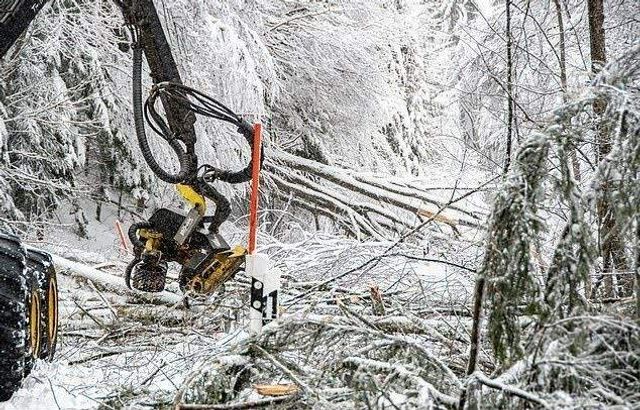 Наслідки снігової бурі в Європі у свіжих знімках - фото 302643