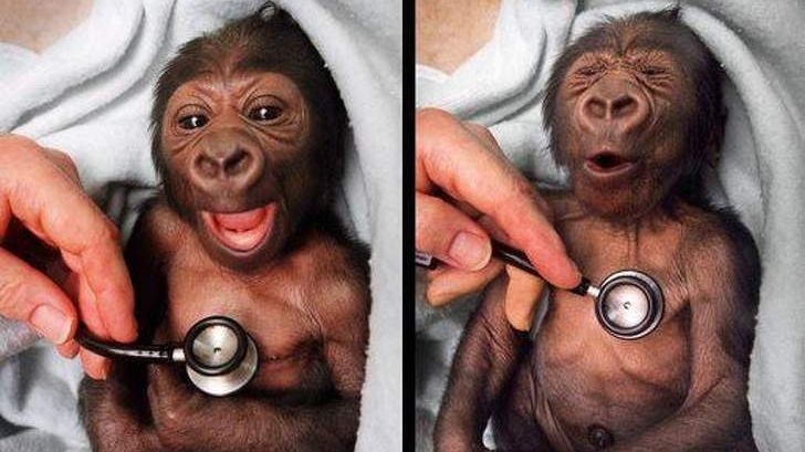 Ці зворушливі знімки повернуть вам віру у добро