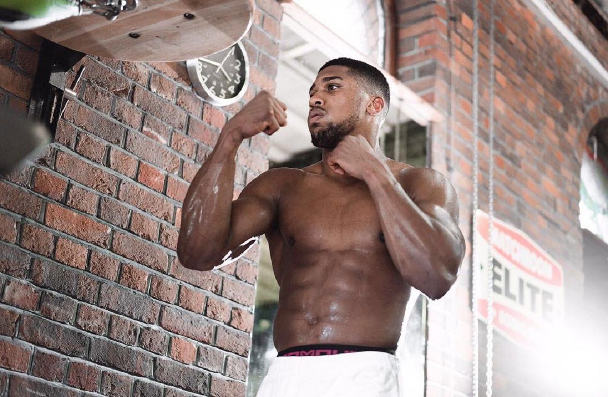 Наче бісовий Термінатор: Джошуа несподівано відгукнувся про Володимира Кличка