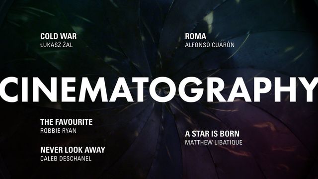 Оскар 2019: оголошені номінанти на найпрестижнішу кінопремію - фото 302864