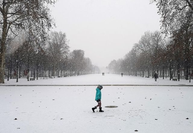 Франція потерпає від снігопадів: фото - фото 302904