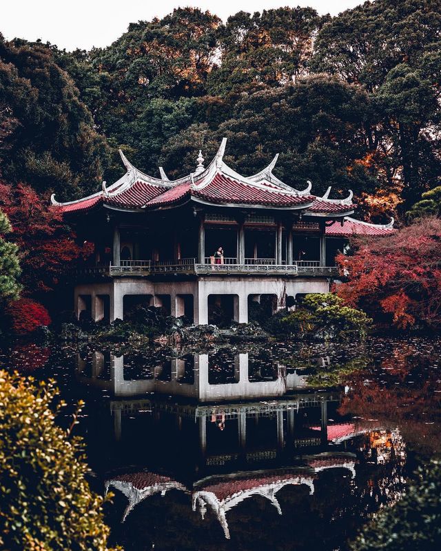 Вуличні фото міст світу від Райана Мамби: захопливі кадри - фото 302957