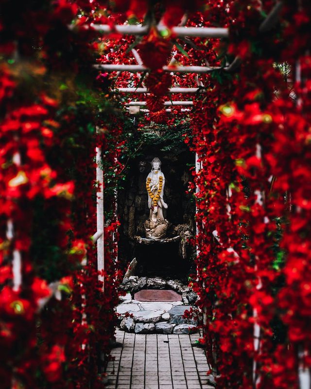 Вуличні фото міст світу від Райана Мамби: захопливі кадри - фото 302967